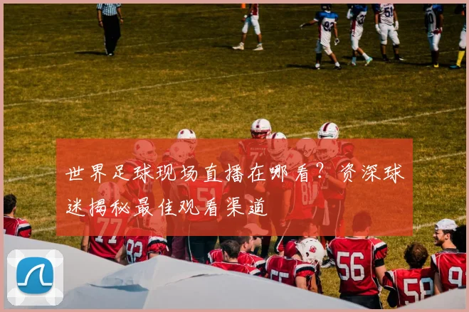 世界足球现场直播在哪看?资深球迷揭秘最佳观看渠道