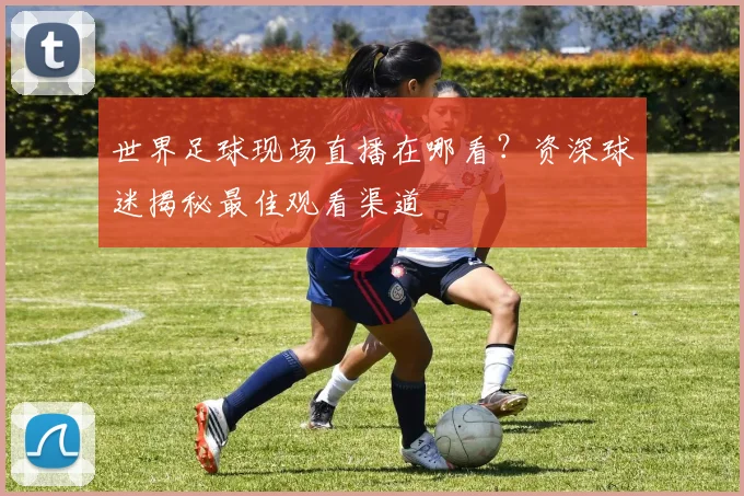 世界足球现场直播在哪看？资深球迷揭秘最佳观看渠道